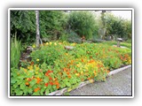 Kitty Scully visits the Community Garden