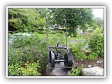 Kitty Scully visits the Community Garden