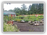 Kitty Scully visits the Community Garden