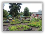 Kitty Scully visits the Community Garden