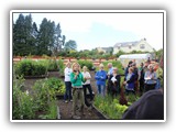 Kitty Scully visits the Community Garden