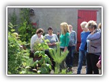 Kitty Scully visits the Community Garden